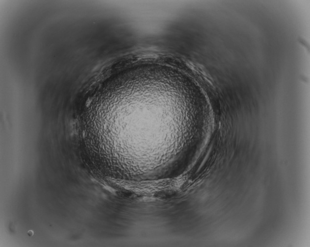 X0000091311445200708241103