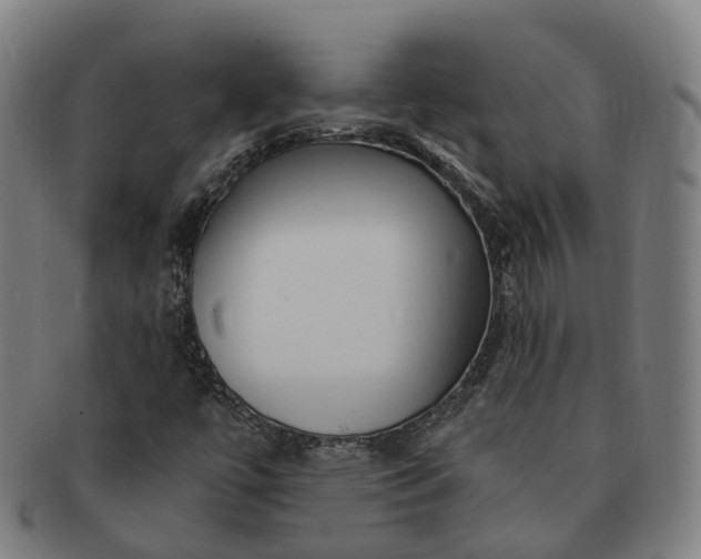 X0000091311447200708241103