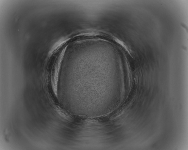 X0000091311448200708241103