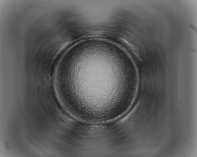 X0000091311449200708241103