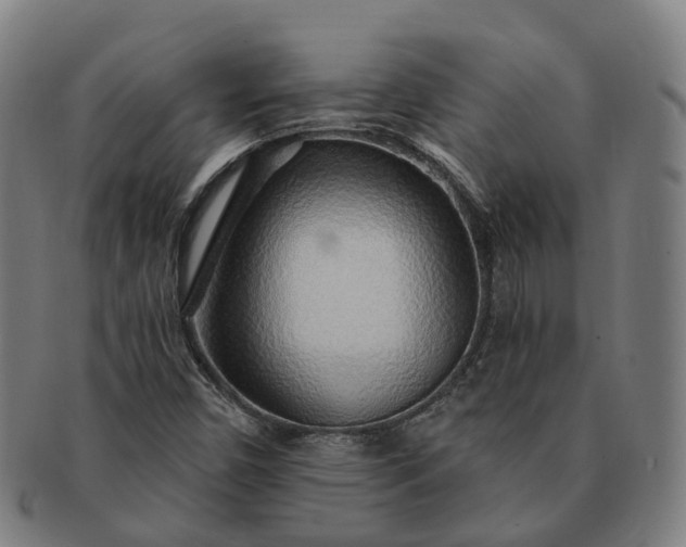 X0000091311450200708241103