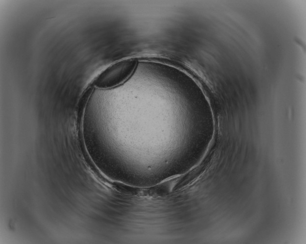 X0000091311452200708241103