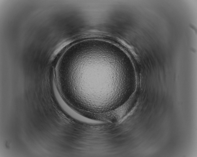 X0000091311453200708241103