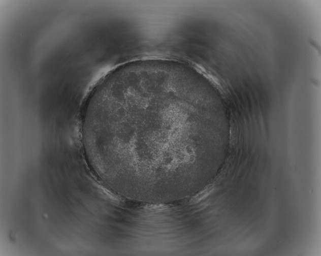 X0000091311454200708241103