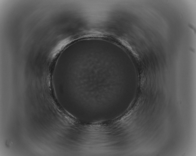 X0000091311455200708241103