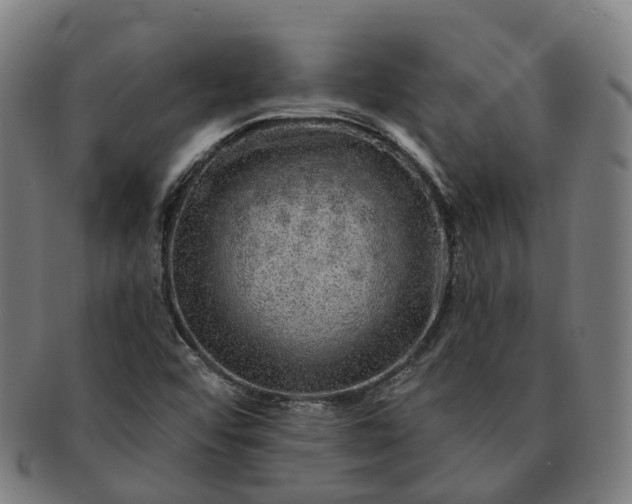 X0000091311456200708241102