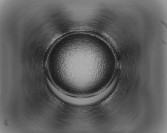 X0000091311457200708241102