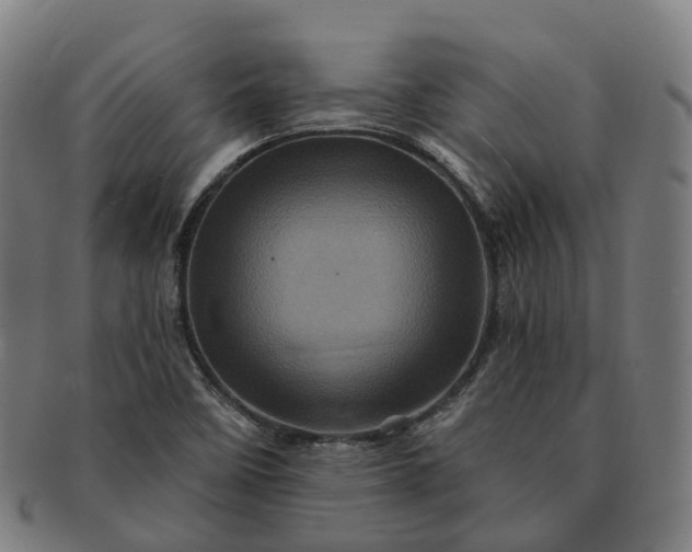 X0000091311458200708241102