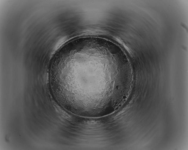 X0000091311459200708241102