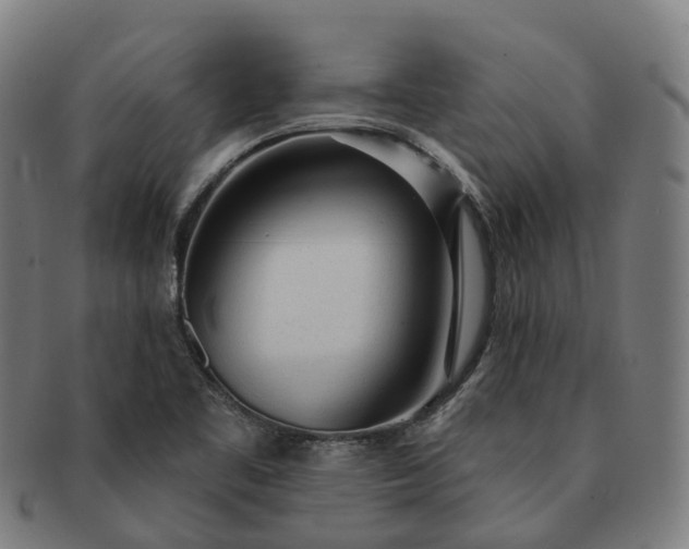 X0000091311461200708241102