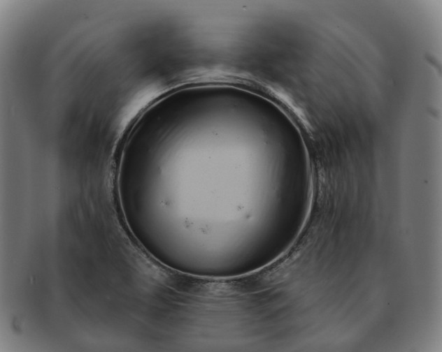 X0000091311463200708241102