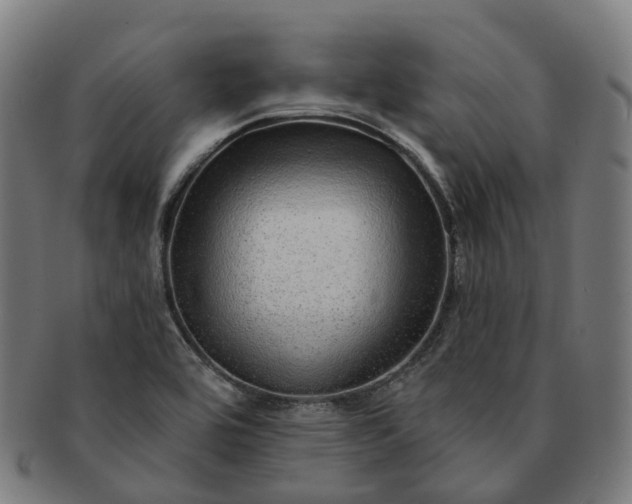 X0000091311464200708241102