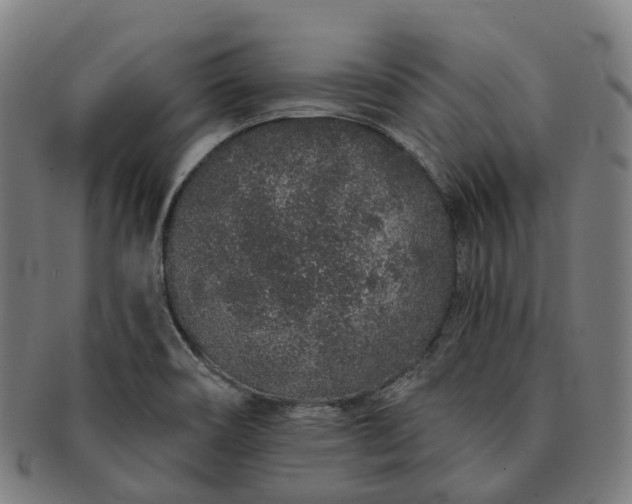 X0000091311466200708241102