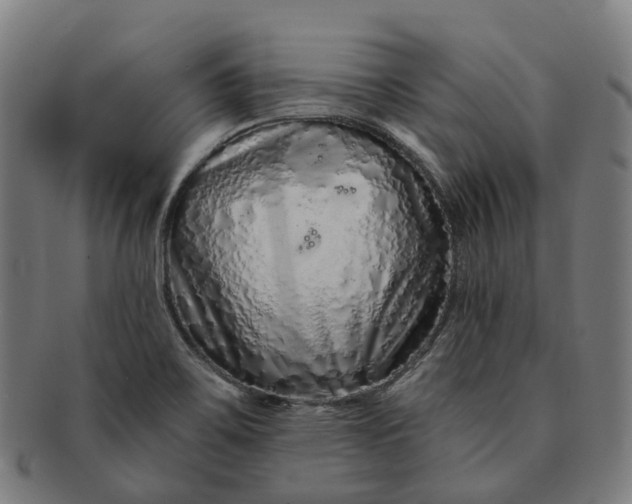 X0000091311467200708241102