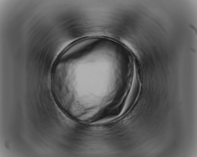 X0000091311468200708241102