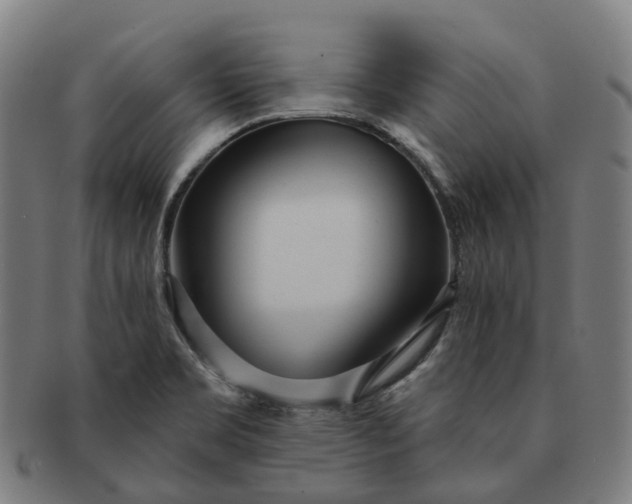 X0000091311469200708241102