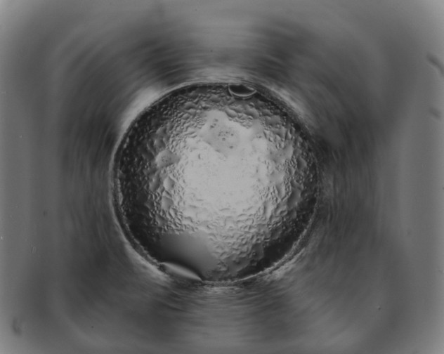 X0000091311471200708241102