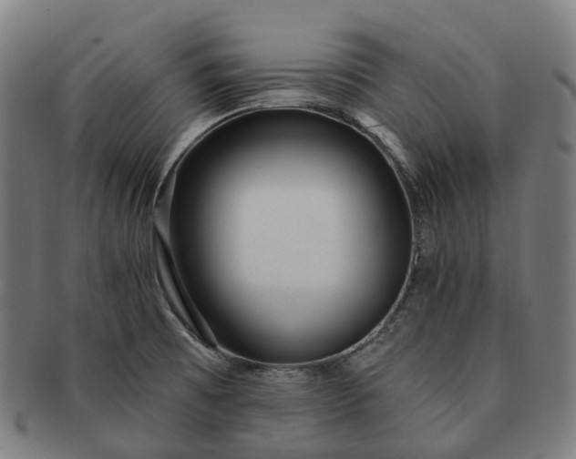 X0000091311473200708241102