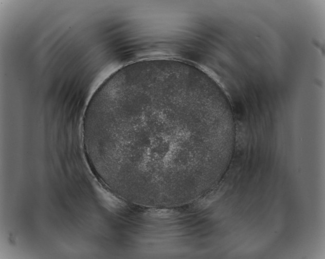 X0000091311474200708241102