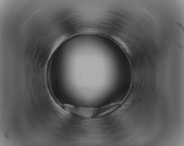 X0000091311475200708241102