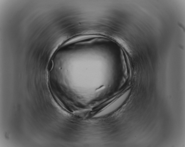 X0000091311476200708241102