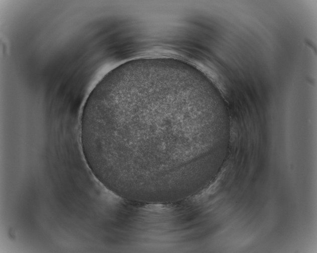 X0000091311478200708241102