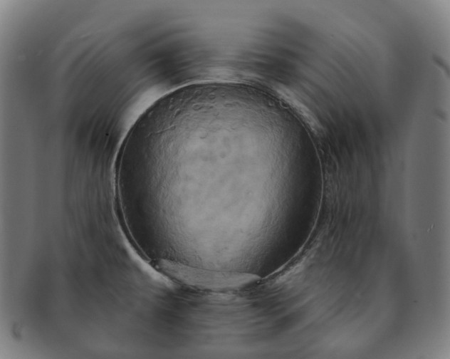 X0000091311479200708241102