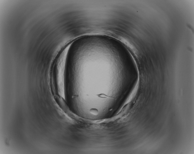 X0000091311480200708241102