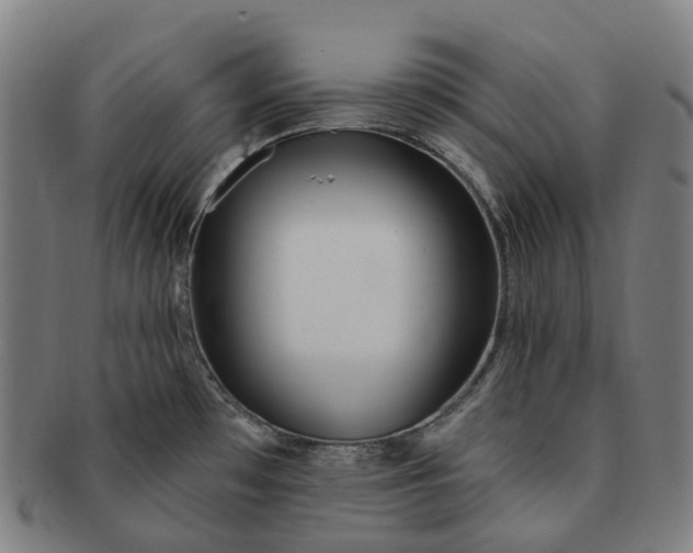 X0000091311481200708241102