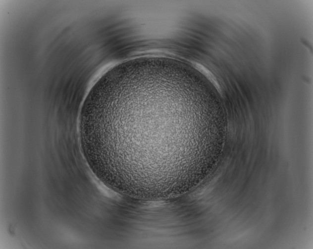 X0000091311482200708241102