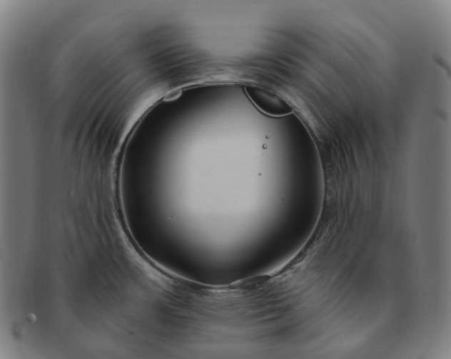 X0000091311483200708241102