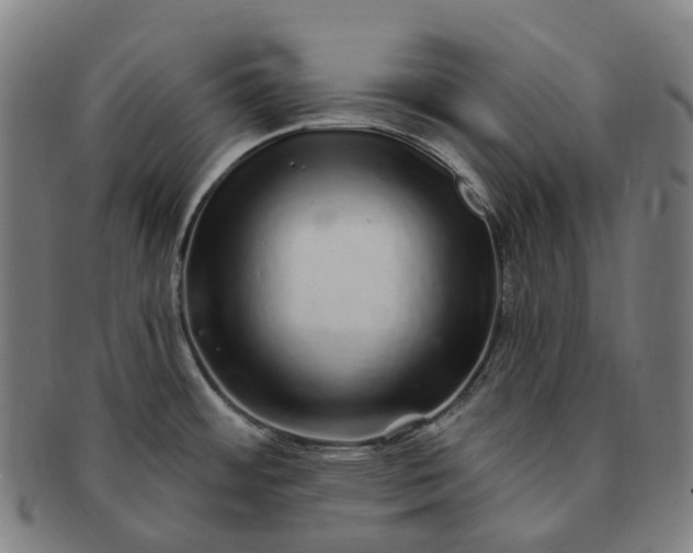 X0000091311484200708241102