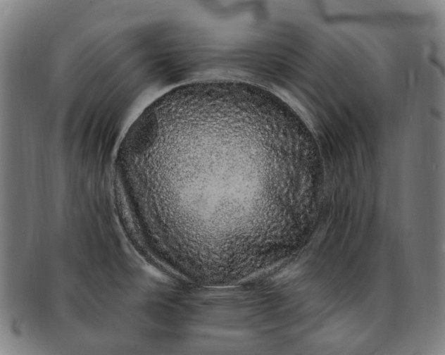 X0000091311486200708241102