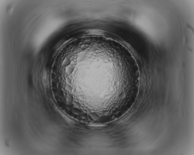 X0000091311487200708241102