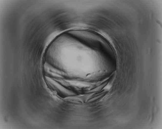 X0000091311488200708241102