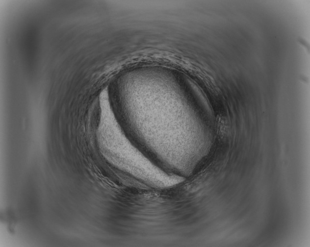 X0000091311489200708241101