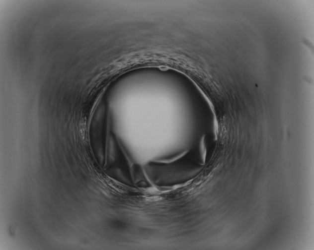 X0000091311490200708241101