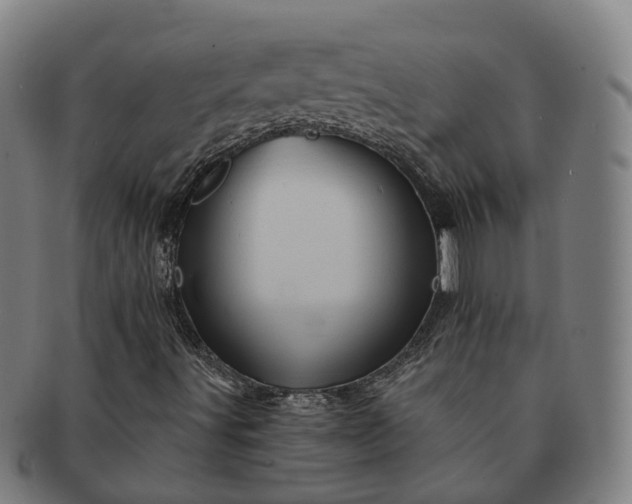 X0000091311491200708241101