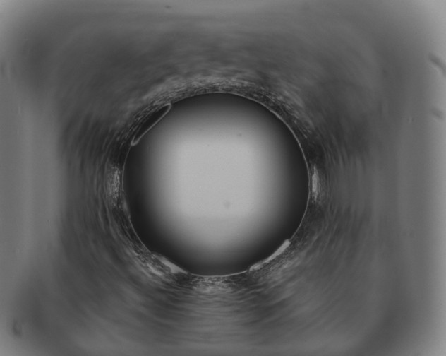 X0000091311492200708241101