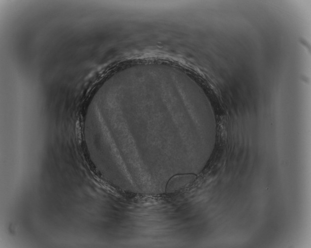 X0000091311493200708241101