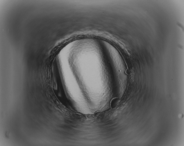 X0000091311494200708241101