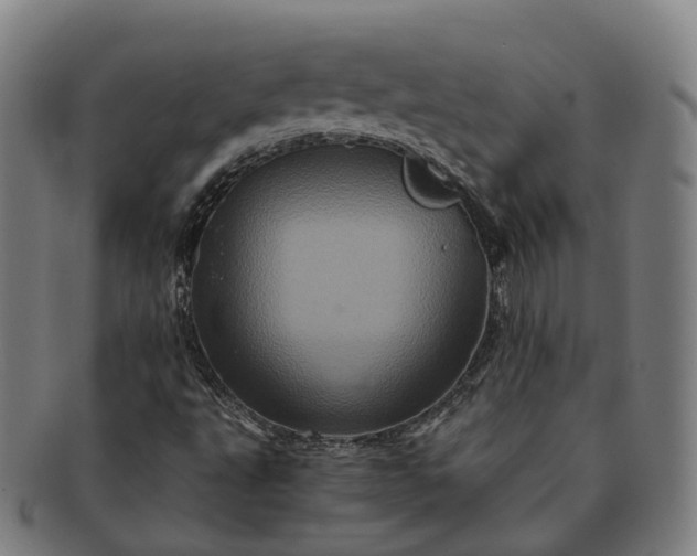 X0000091311495200708241101