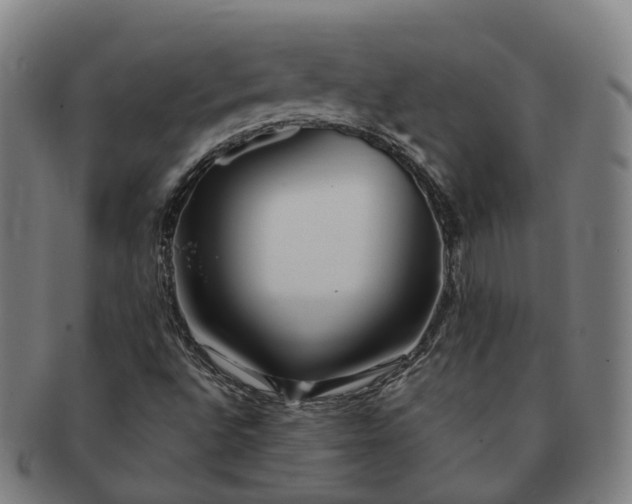 X0000091311496200708241102