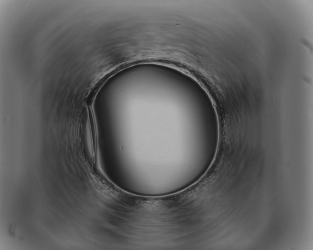 X0000091311497200708241102