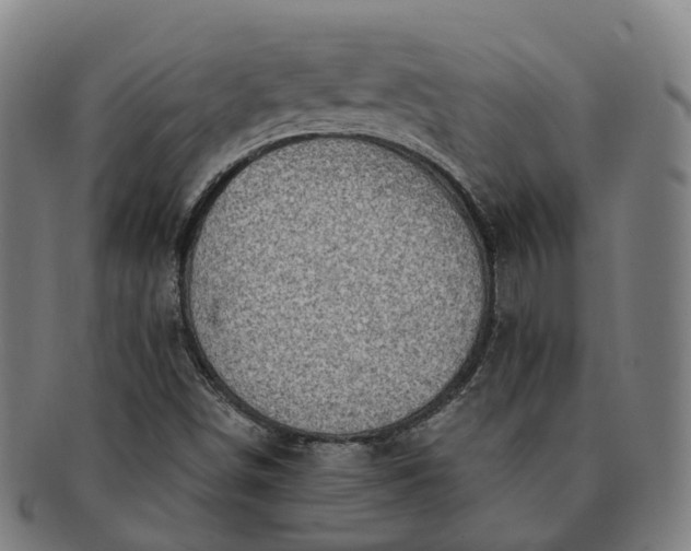 X0000091311498200708241102