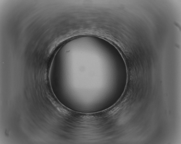 X0000091311499200708241102