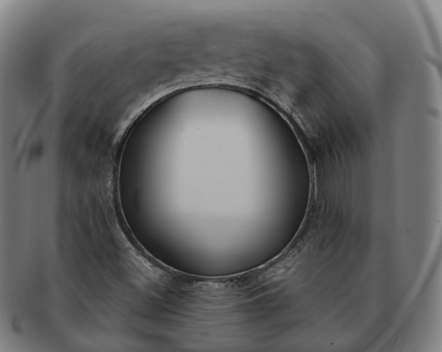 X0000091311500200708241102