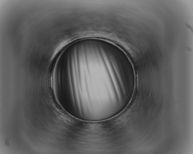 X0000091311501200708241102