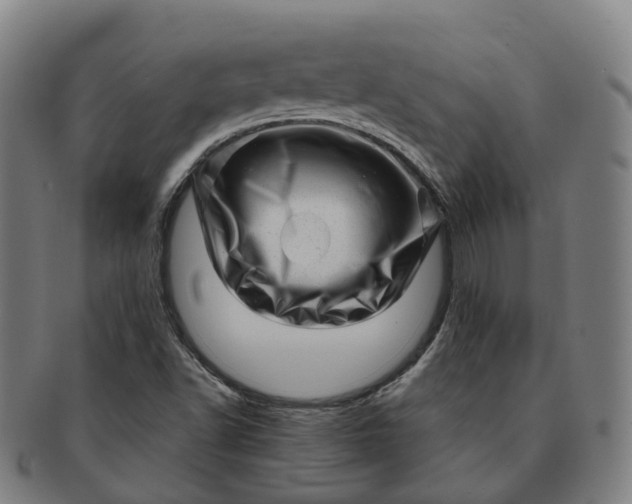 X0000091311502200708241102