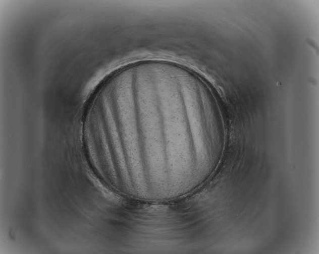 X0000091311503200708241102